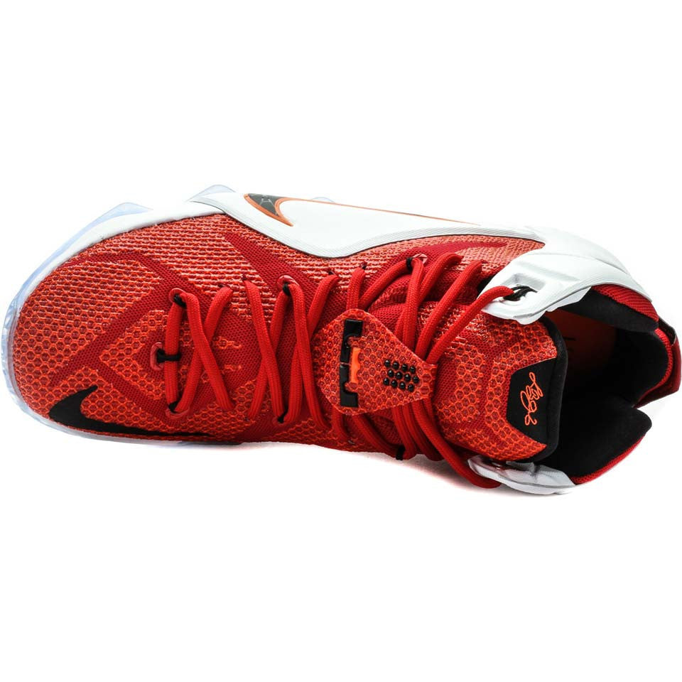 LeBron 12 Lion Heart