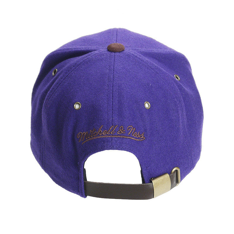 Mitchell & Ness NBA Toronto Raptors Winter Suede Strapback
